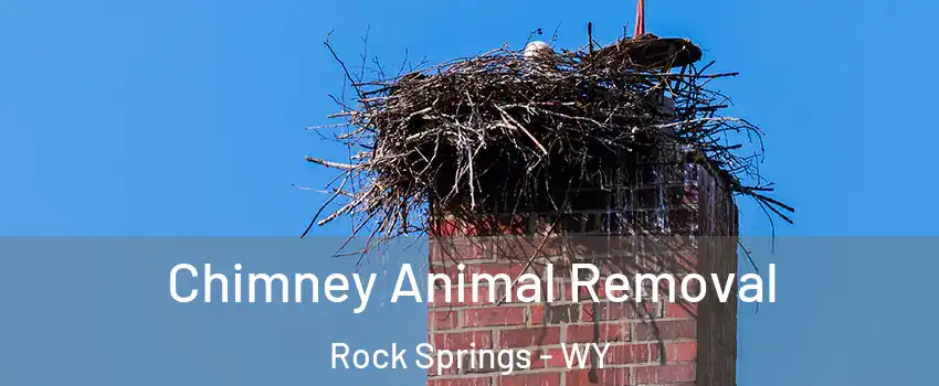 Chimney Animal Removal Rock Springs - WY
