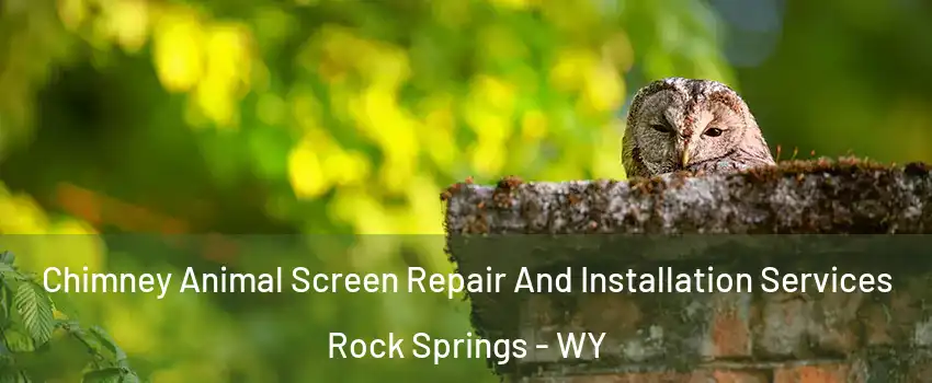  Chimney Animal Screen Repair And Installation Services Rock Springs - WY