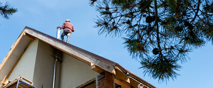 Birds Removal Contractors from Chimney in Rock Springs, WY