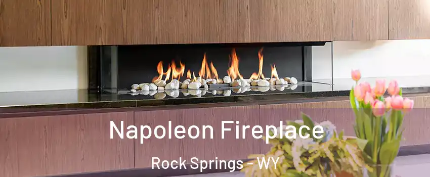  Napoleon Fireplace Rock Springs - WY